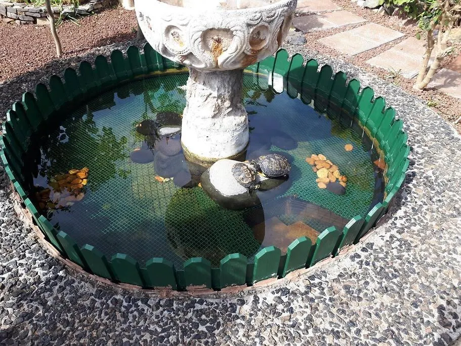 Apartamento Tranquilo En Una Casa Con Jardin La Laguna  0*, La Laguna (Tenerife) Spain