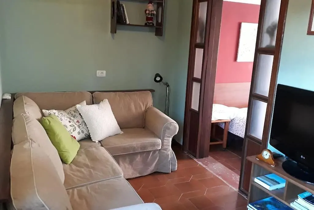 Apartment Apartamento Tranquilo En Una Casa Con Jardin La Laguna