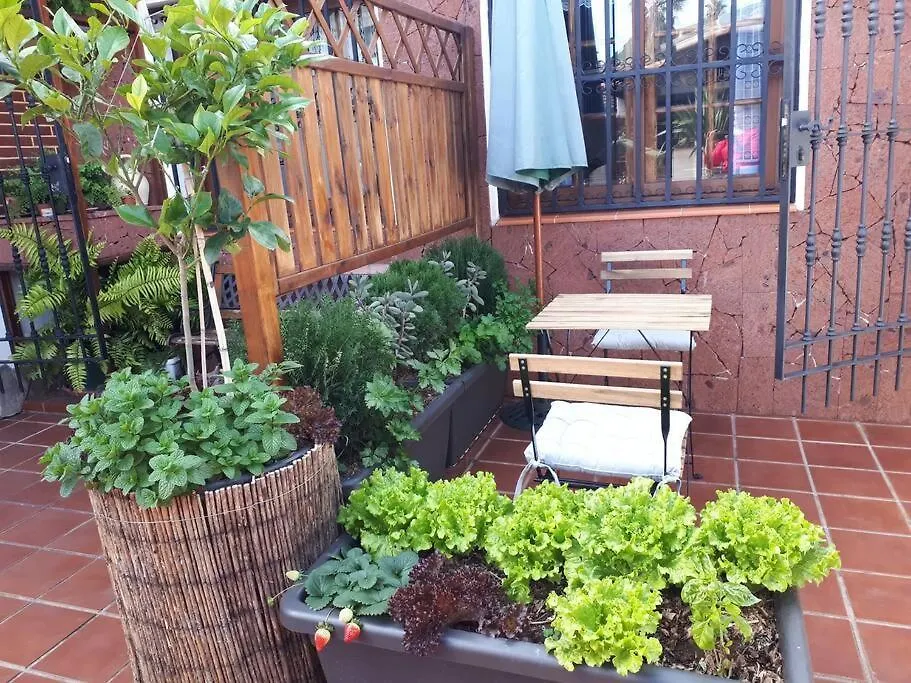 Apartamento Tranquilo En Una Casa Con Jardin La Laguna  Apartment